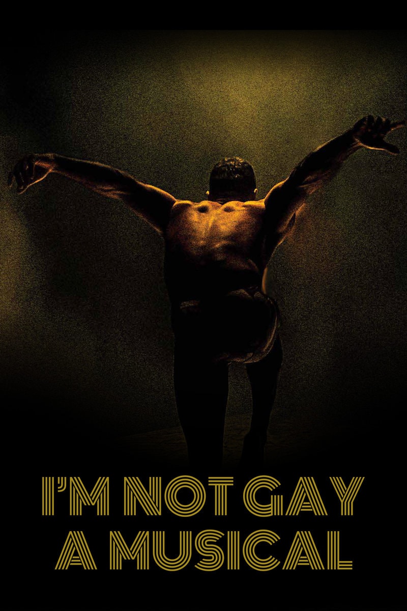 I'm Not Gay A Musical -Poster